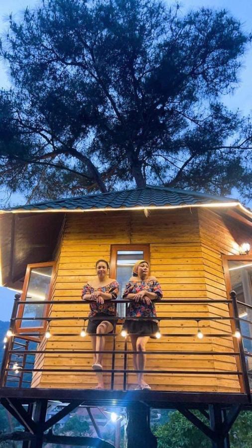 Nha Tren Cay Lodge *